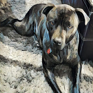 Meet your Posher, Shannon